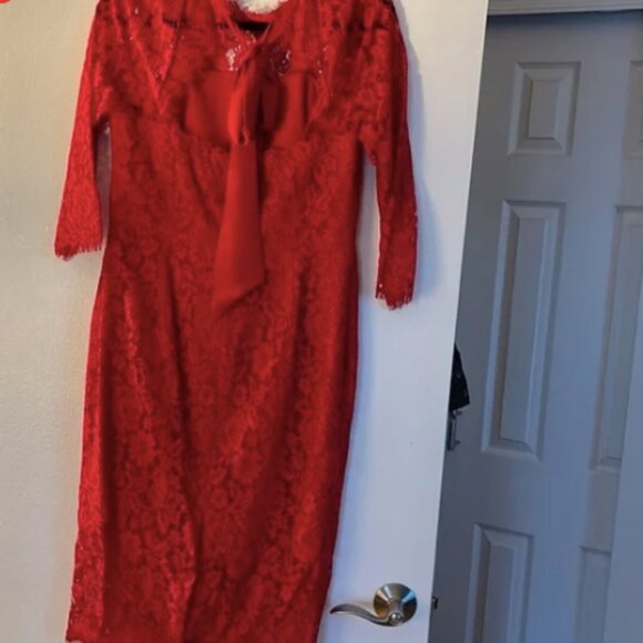 Pre-loved, Sz 4, J.Crew long-sleeve lace sheath dress, below knee, red - Picture 6 of 7